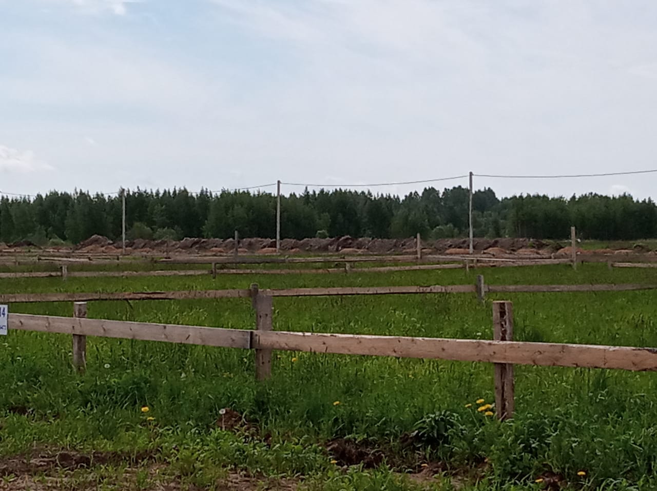 5 июня 2020